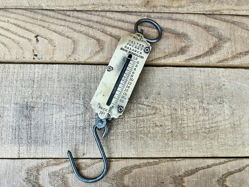 Salter pocket spring balance - pocket, /