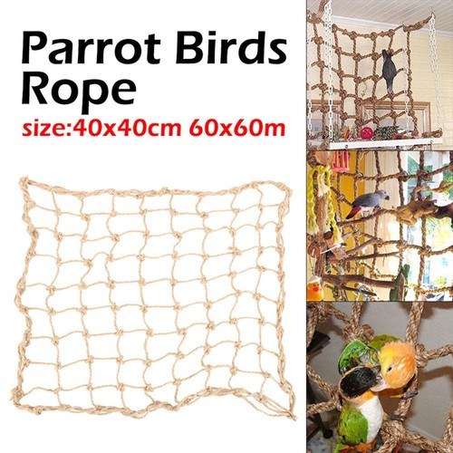 1pc pet parrot bird - 1pc,