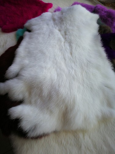 10pcs genuine rabbit - 1-10pcs,