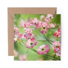 1 x Blank Greeting Card Pink Blossom Dogwood Tree Nature #51685