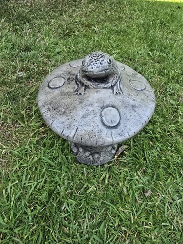 Frog toadstool stone - frog,
