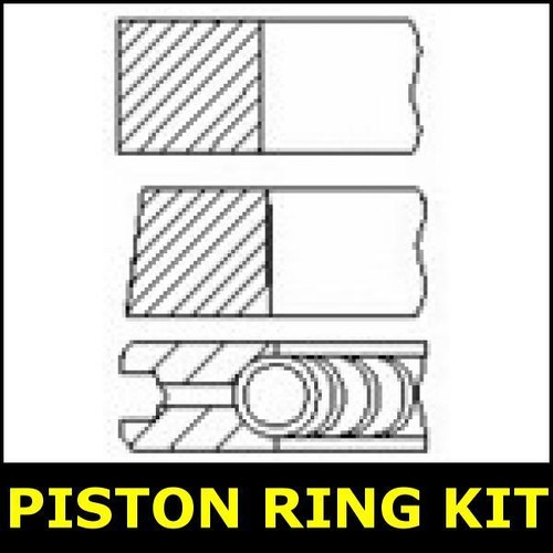 Piston ring kit fits - ring,