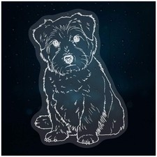 'Norfolk Terrier' Static