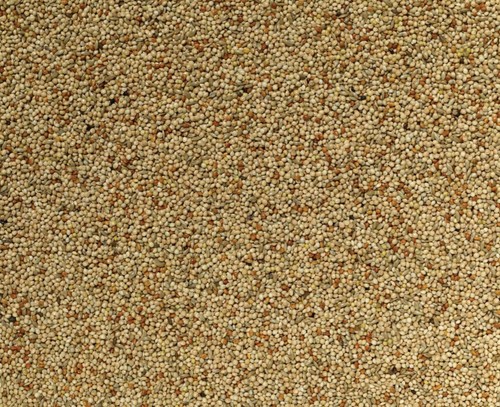 Johnston jeff utility budgie - johnston,