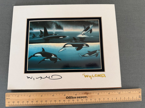 Wyland signed northern - signed,