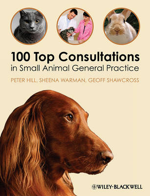 100 top consultations small - consultations,