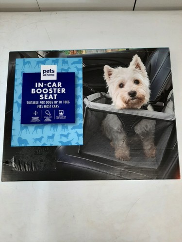 Pets home car dog - car,