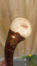 Hazel knobstick walking stick