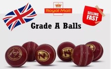 ND Special School Cricket