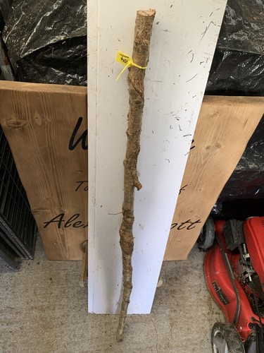 Seasoned birch twisty twistie - birch,