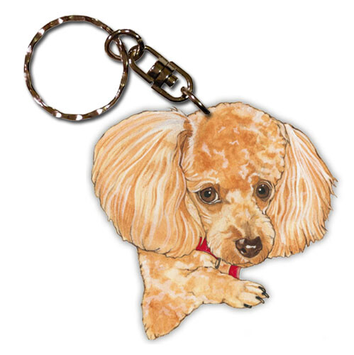Poodle apricot toy - apricot,