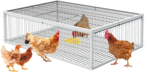 Trap cage chicken - trap,
