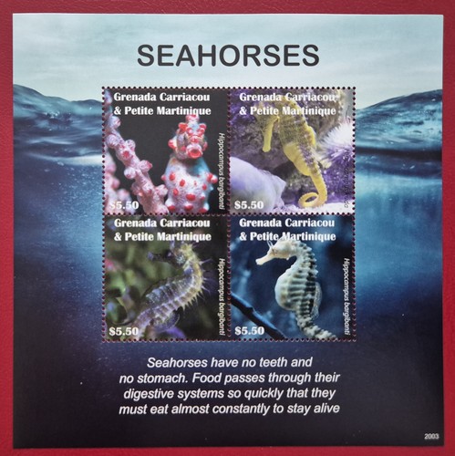 Grenada 2020 marine life - / marine,