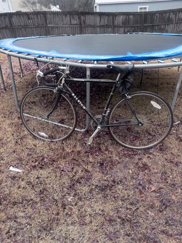 Raleigh vintage 410 capri - raleigh,