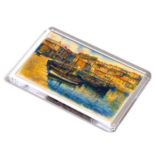 Fridge magnet fishing - -,