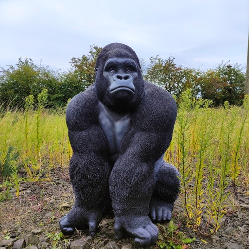 Giant gorilla vivid arts - gorilla*,
