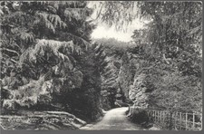 Scarce old postcard - postcard, moss's