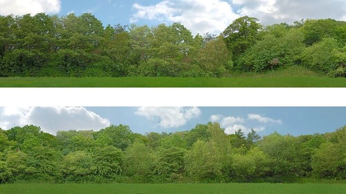 Just trees gauge backscene - oo,