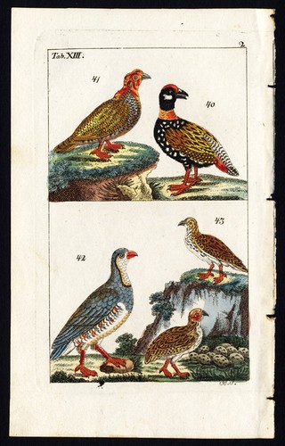 Antique print black - antique, print-black