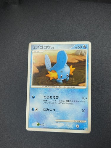 Mudkip 027 100 common beat - mudkip, of