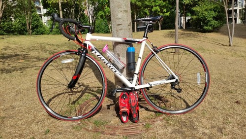 Wilier triestina frame - frame, size