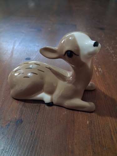 Szeiler deer fawn lying down - lying,