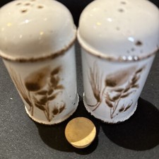 Stonehenge  Midwinter Wild