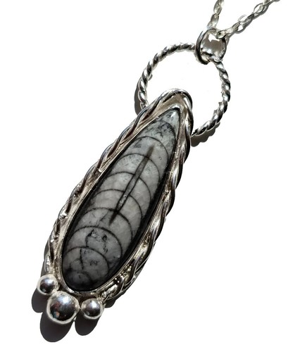 Orthoceras fossil sterling - orthoceras,