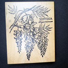 PSX Wisteria Hanging Flowers