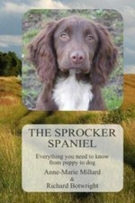 The Sprocker Spaniel