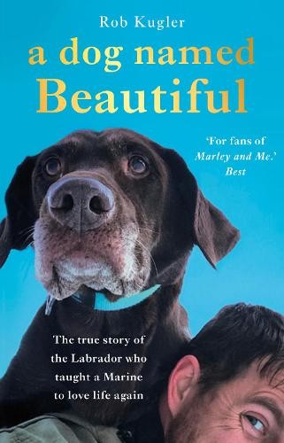 Dog named beautiful - a, the