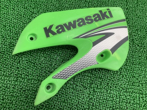 Kawasaki kx65 right green - kx65,