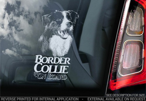 Border collie car - collie, sticker