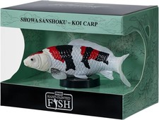 Showa Sanshoku Koi Carp