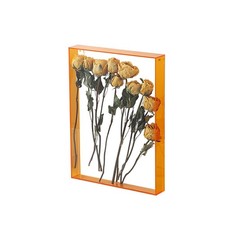 DIY Acrylic Flower Display Frame 26x31cm Transparent Photo Frame in Five Colors