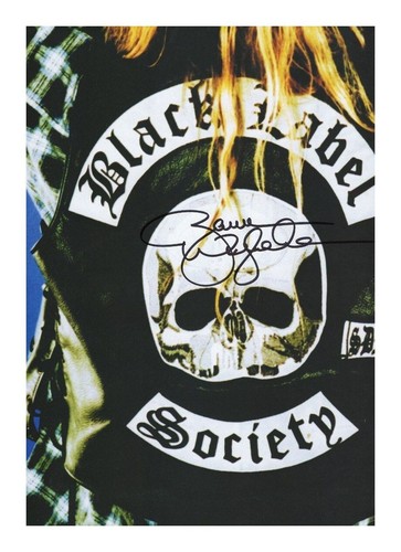 Zakk wylde black - -,