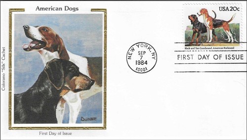 Coonhound black and tan - black,