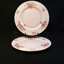 Theodore Haviland NY 2 Dinner
