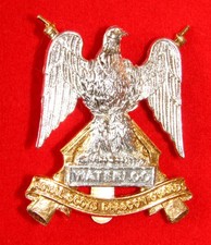 ROYAL SCOTS DRAGOON GUARDS (CARABINIERS AND GREYS) ANODISED CAP BADGE