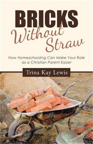 Bricks without straw how - straw:,