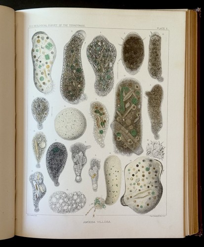 1879 usgs vol - usgs, fresh