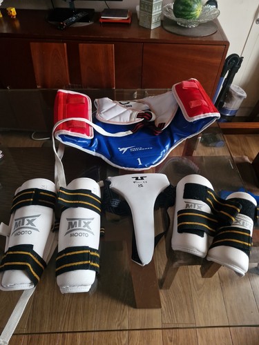Taekwondo sparing kit and - taekwondo, fu