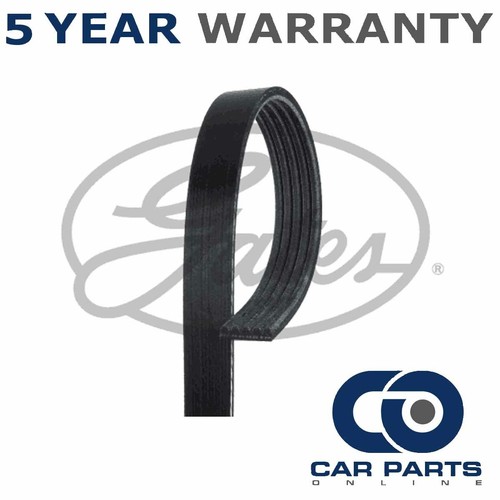 Gates ribbed belts - gates,