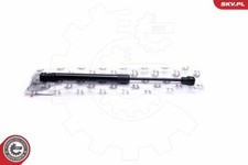 Gas spring boot cargo - gas, boot/cargo