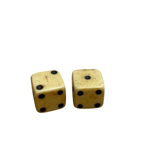 Vtg bovine cow bone - vtg, pair