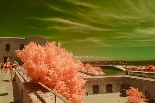 Infrared filter 77mm candy - filter, 77mm,