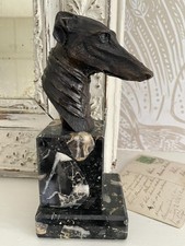 Lovely Greyhound Dog Whippet
