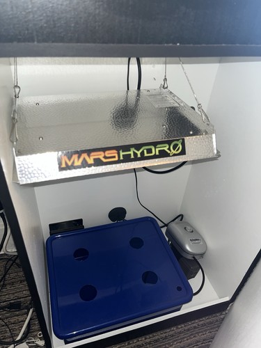 Hydroponic grow box - hydroponic,