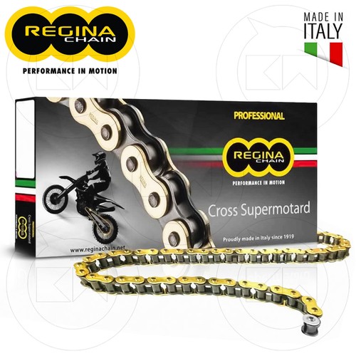 Regina professional racing - professional,