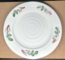 Set of 4 Salt Glazed Dinner